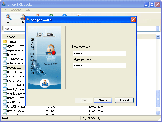 IonIce EXE Locker Screenshot